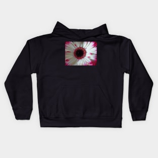 wonderful gerbera flower, pink,white Kids Hoodie